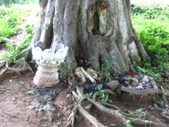 Cambodia