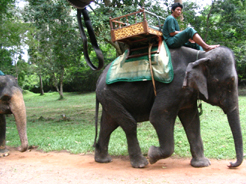 Cambodia
