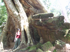 Cambodia