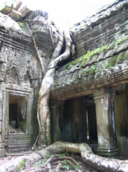 Cambodia