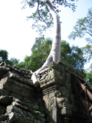 Cambodia