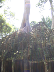 Cambodia