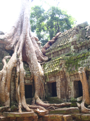 Cambodia