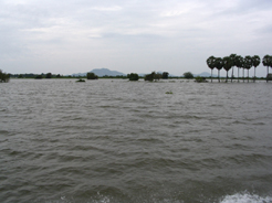 Cambodia